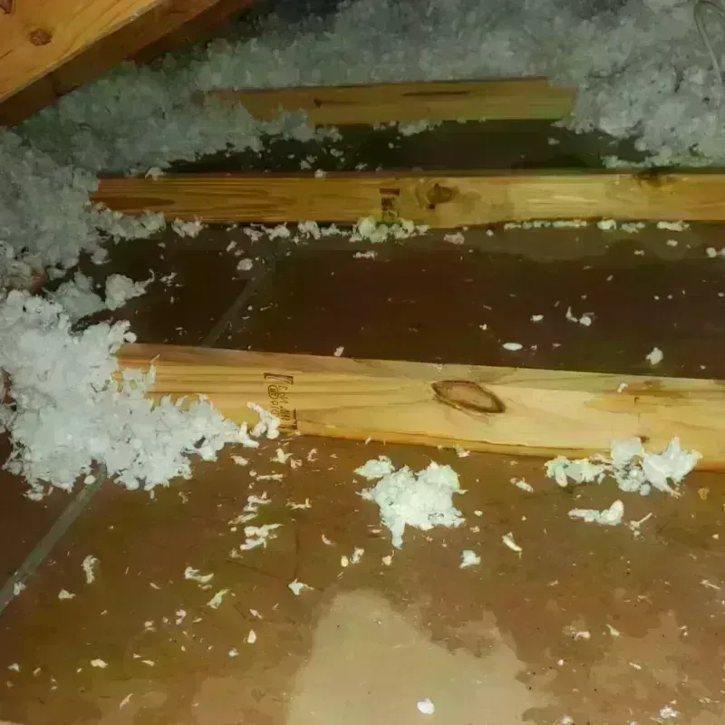 Attic Water Damage in Brown County, MN