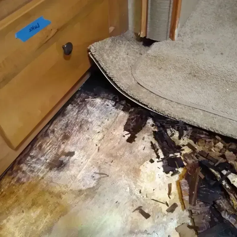 Wood Floor Water Damage in Brown County, MN